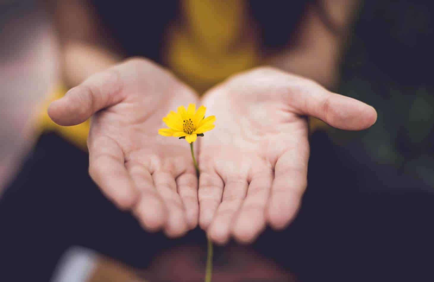 Woman Holding Flower After Alcohol Withdrawals