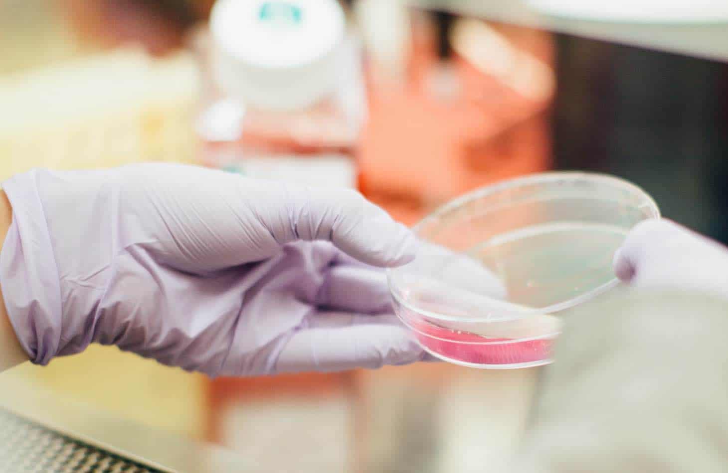 A Doctor Holding A Petri Dish, Representing The Development Of Medication Assisted Treatment Drugs