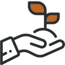 Icon of a hand holding a plant for environmental causes