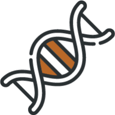 Icon For The Genetic Factors