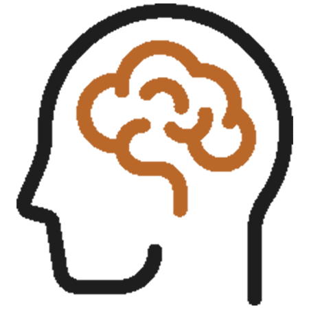 icon showing Addiction symptoms include reduced brain volume
