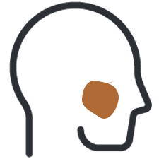 Icon showing flushing face