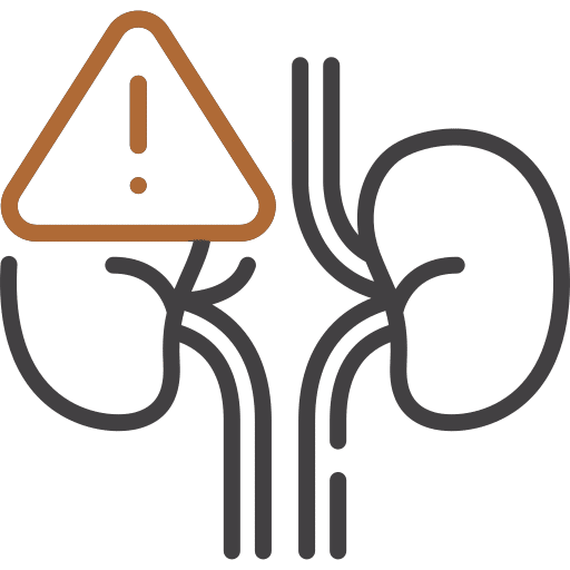 Icon Showing Kidney Damage