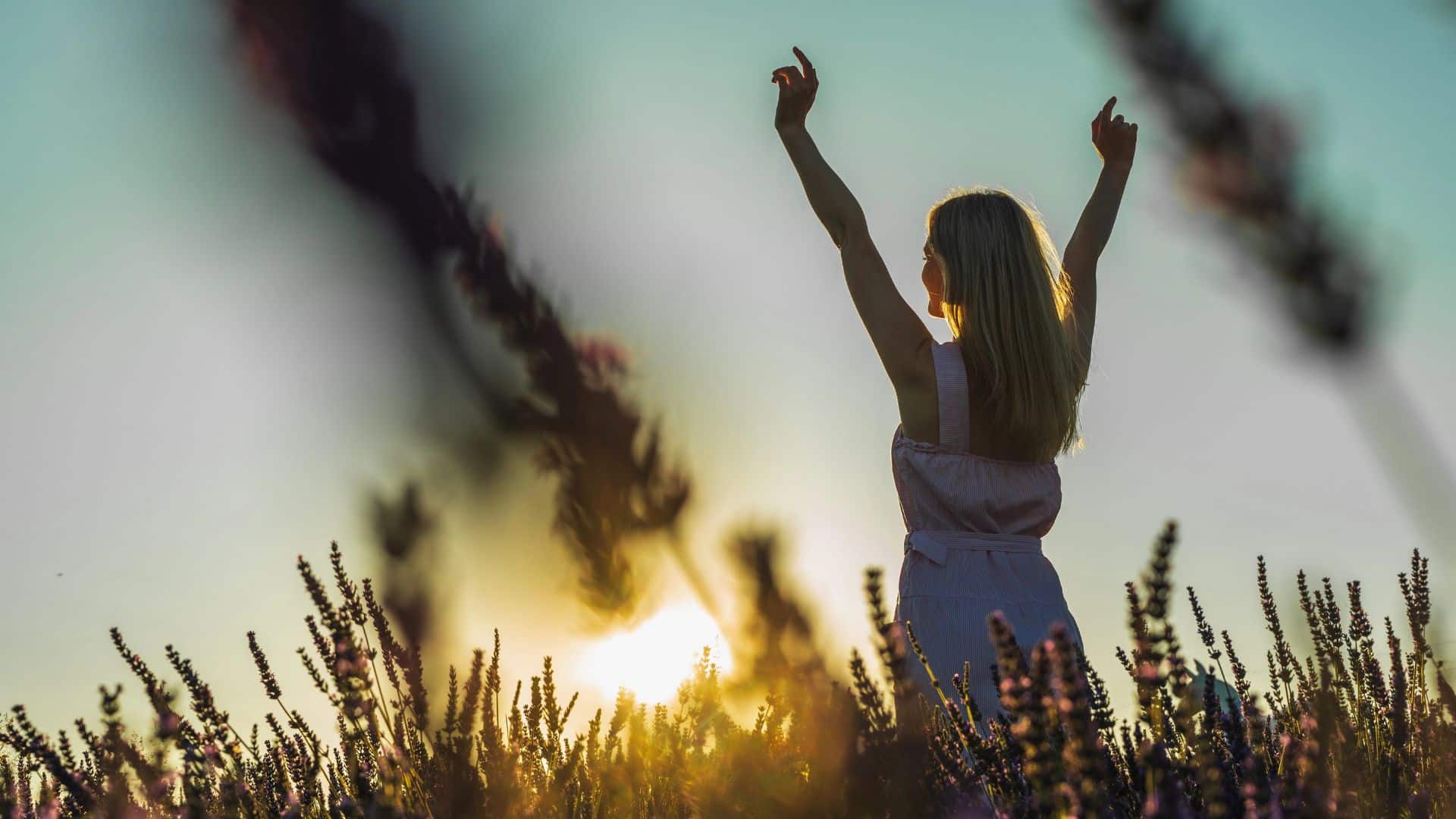 young girl in a white summer dress on a lavender field