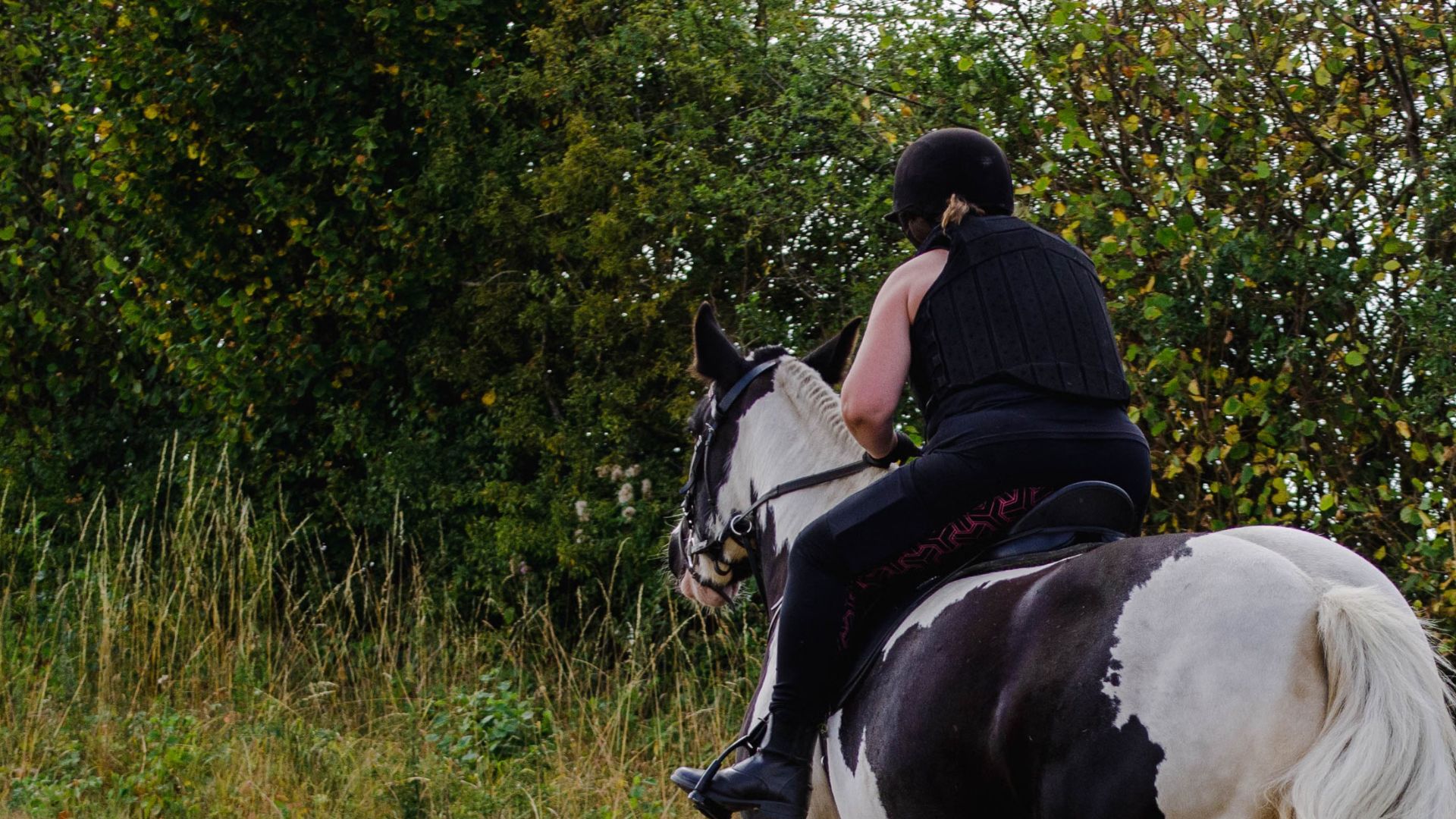Person riding a black and white Gypsy Vanner horse